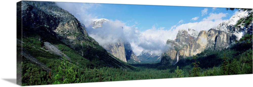 Panoramic photograph shows a valley in Yosemite National Park filled with a dense forest of trees that is surrounded by sn...