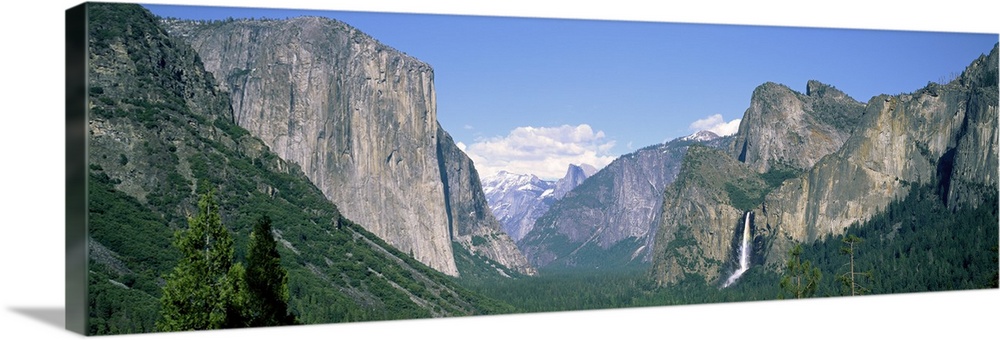Panoramic photograph on a big canvas of tree tops beneath a mountain landscape against a light blue sky in Yosemite Nation...