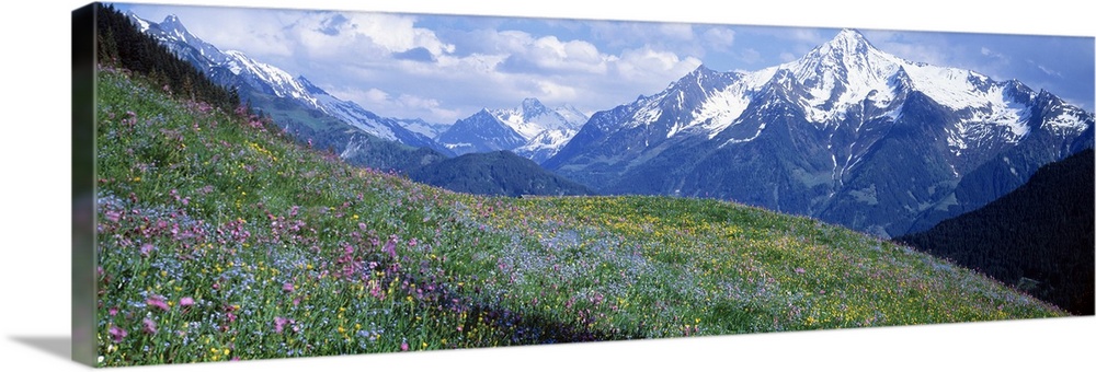 Zillertaler Alpen Austria