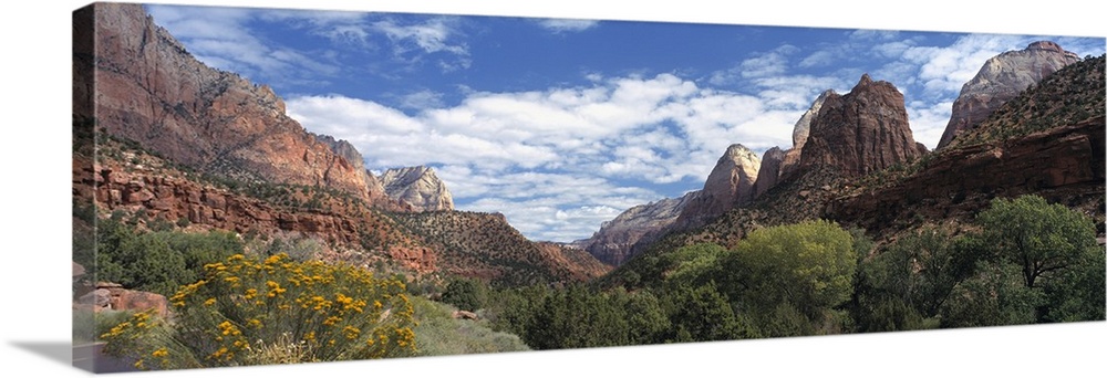Panoramic photograph of canyon under a cloudy sky with dense shrubbery in the foreground.