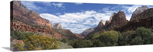 Zion National Park UT image thumbnail