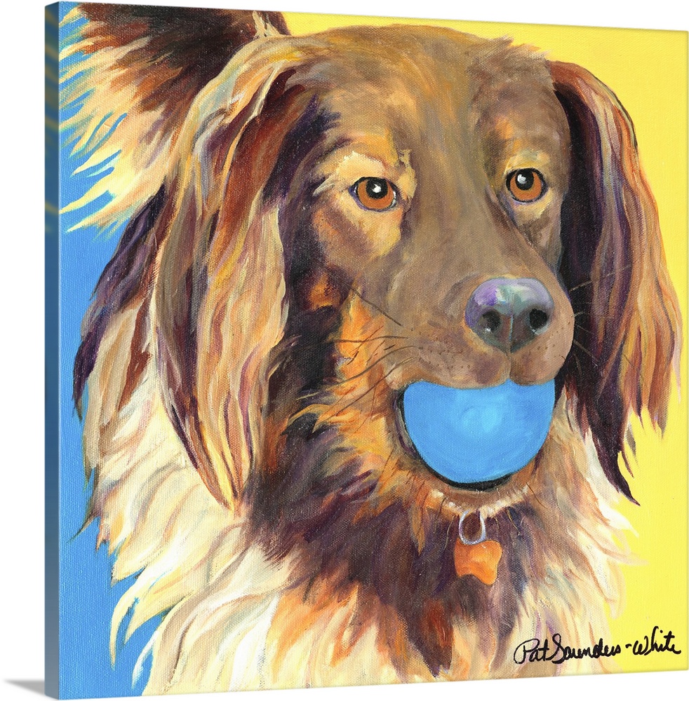 brown dog with blue ball