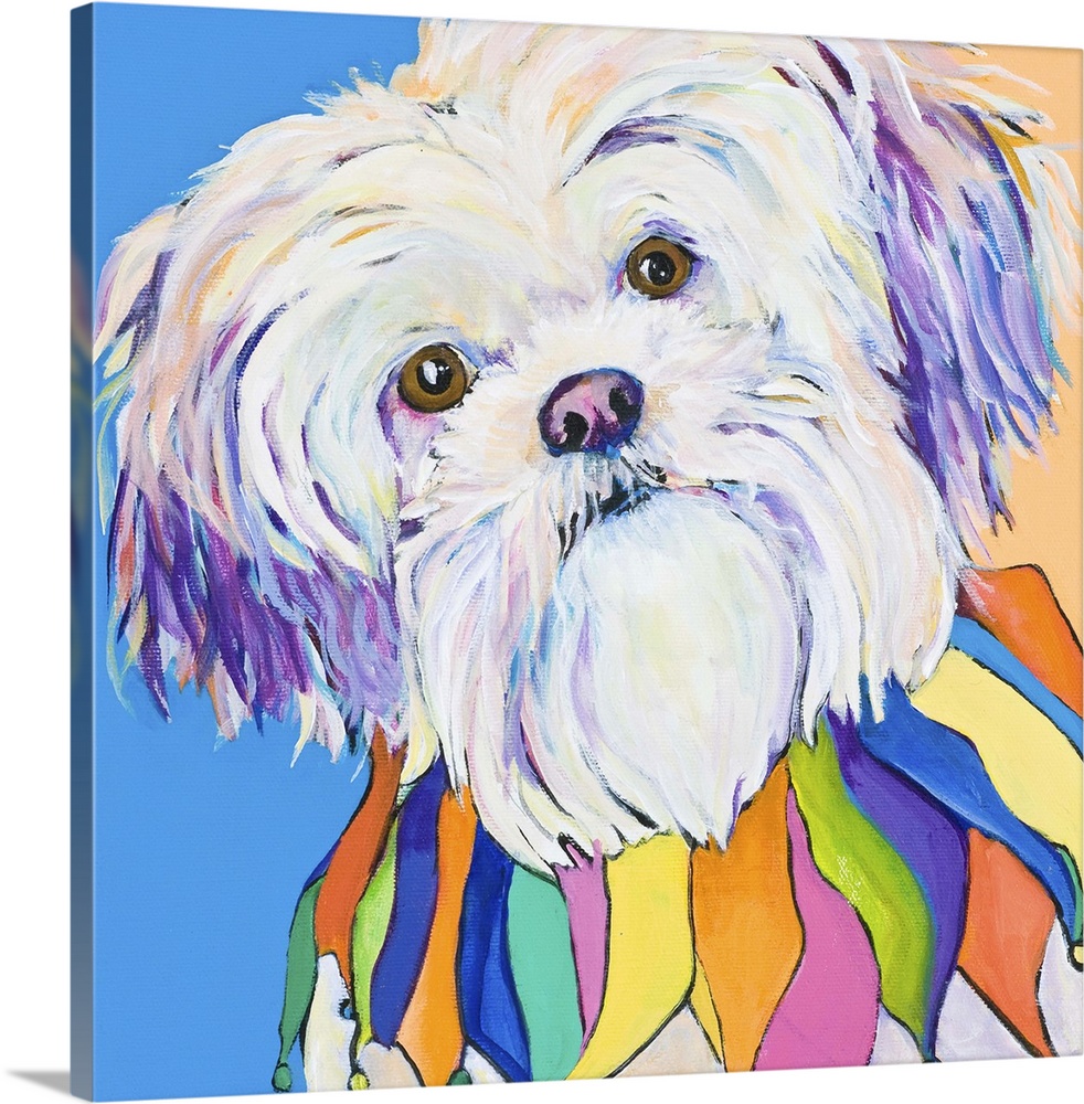 Contemporary artwork of a white shih-tzu dog with a colorful collar.
