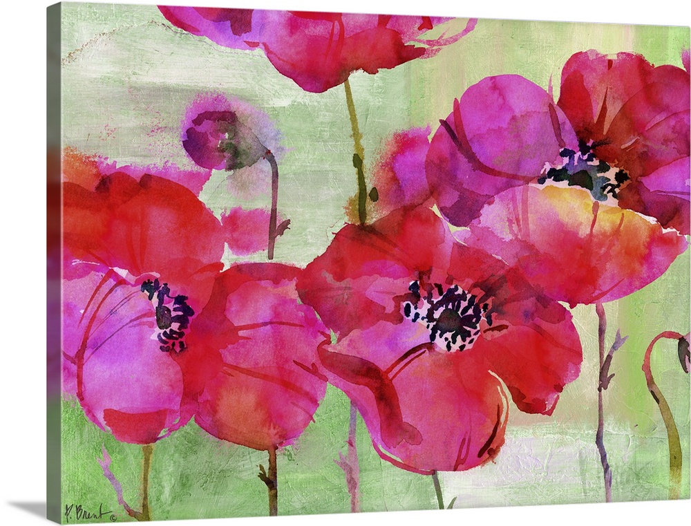 Vibrant pink watercolor flowers.