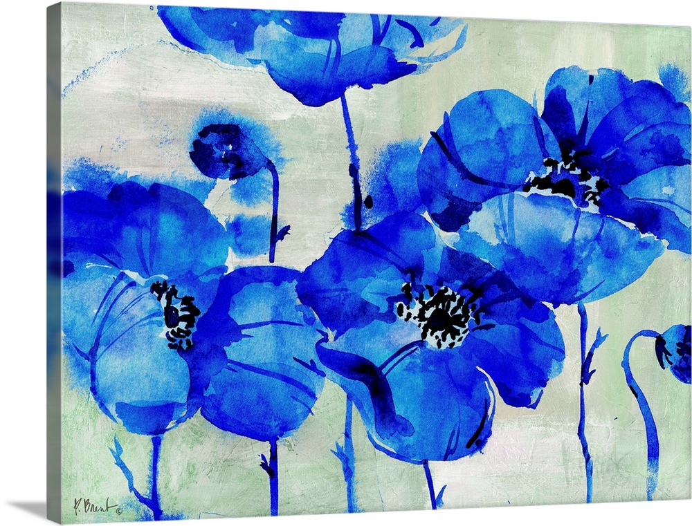 Amalfi Poppies - Blue