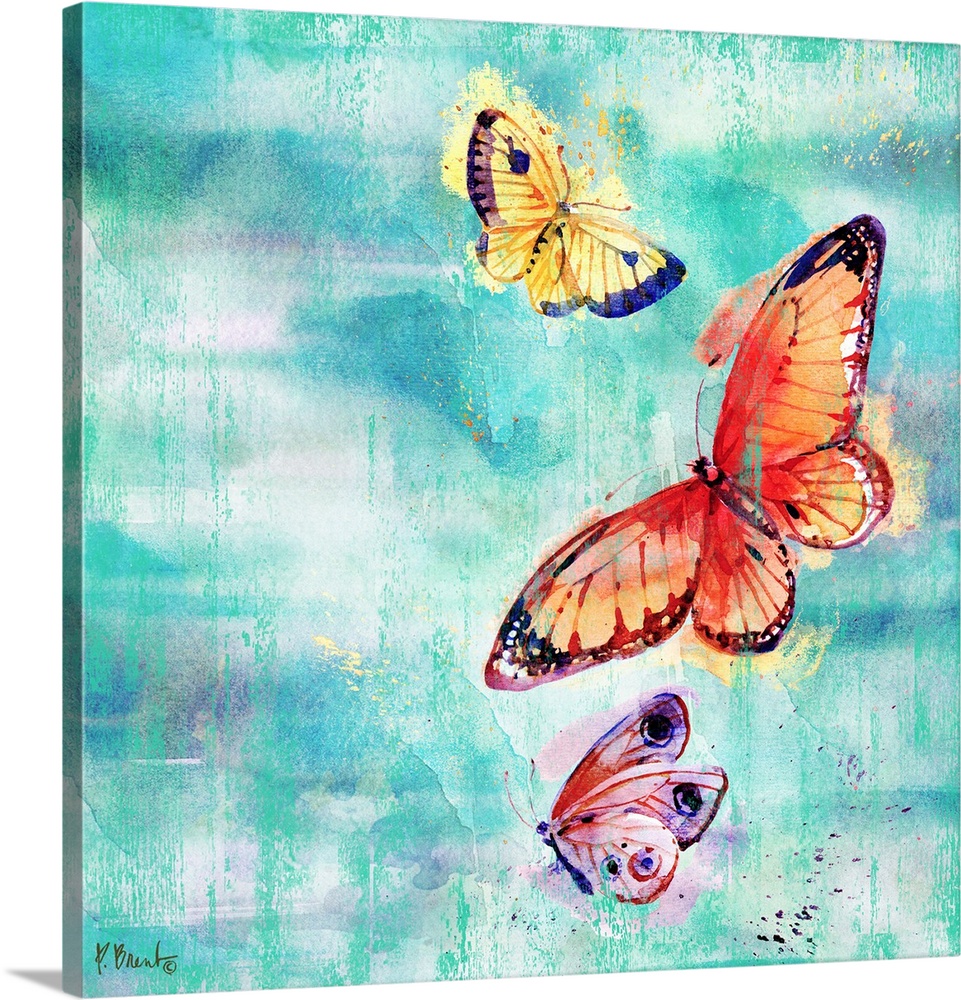 Arianna Butterflies II