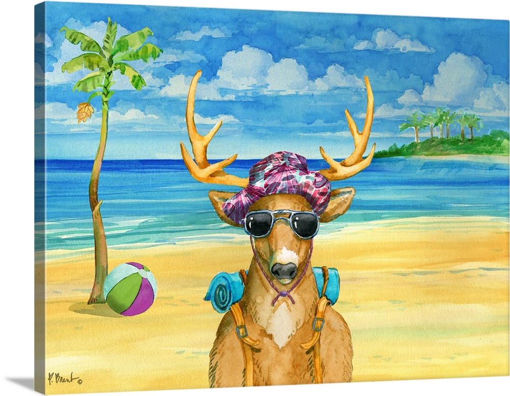 Beach Deer