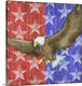 image thumbnail of Painting of a bald eagle over a red and blue starry pattern.