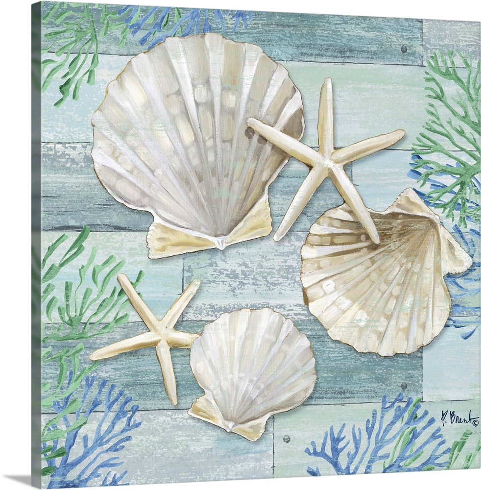 Square shell, starfish, and coral decor in light blue, green, and white.
