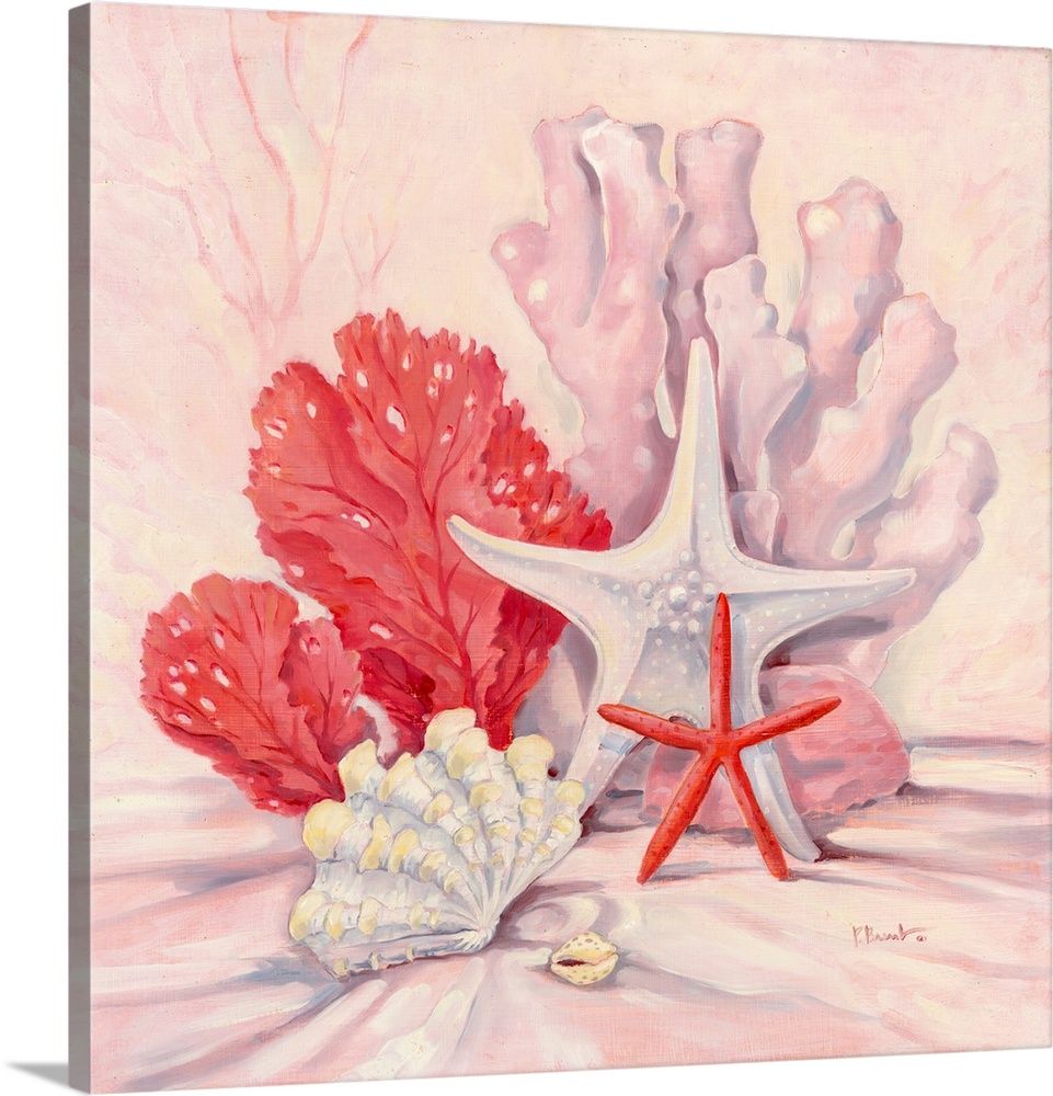 Coral Still Life II - Natural