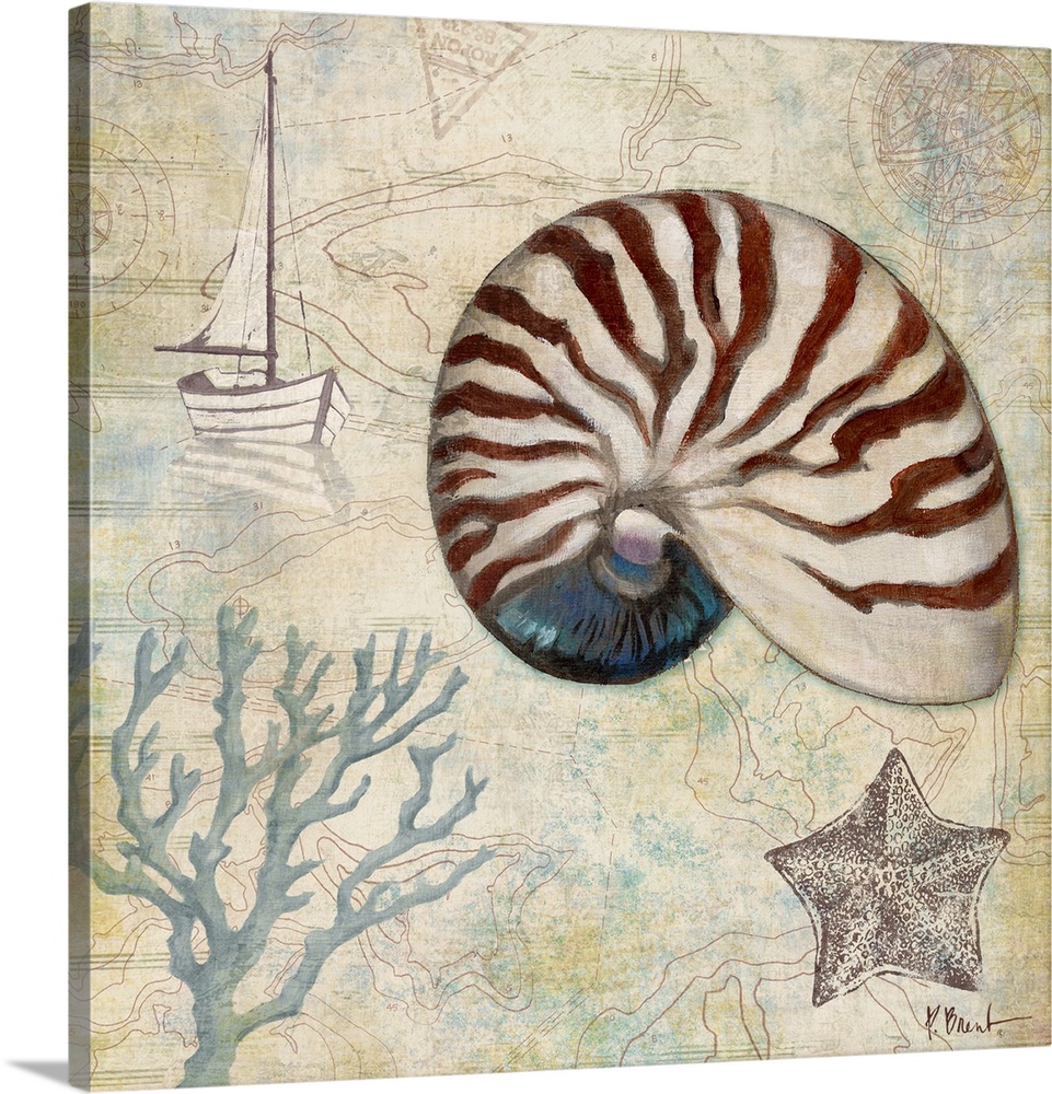 Decorative panel made of different nautical elements including a nautilus shell, coral, a starfish, and a sailboat.