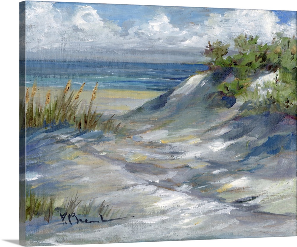 Dune Pathway - Left