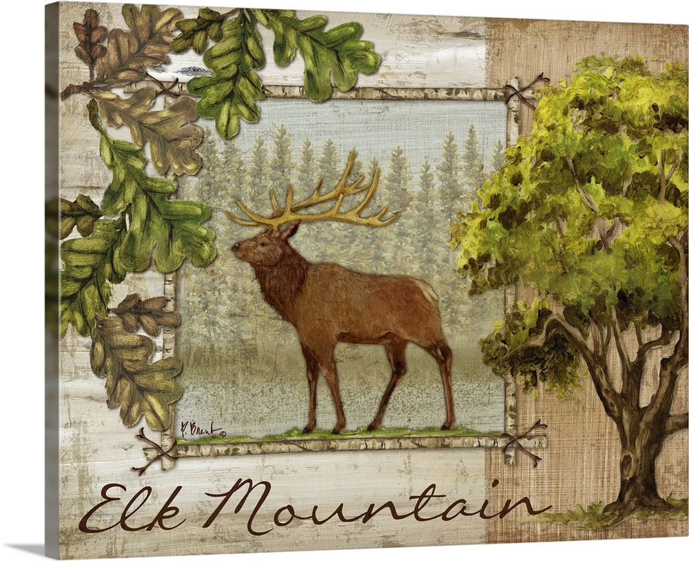 Decorative artwork of an elk in a frame, with oak leaves, acorns, and the words Elk Mountain