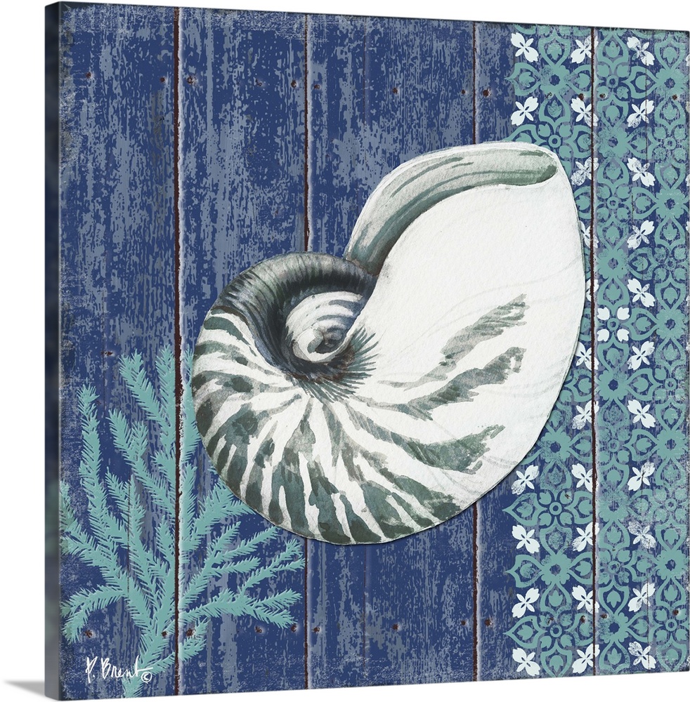Contemporary decorative artwork of a nautilus shell and a floral pattern on a textured panel background.
