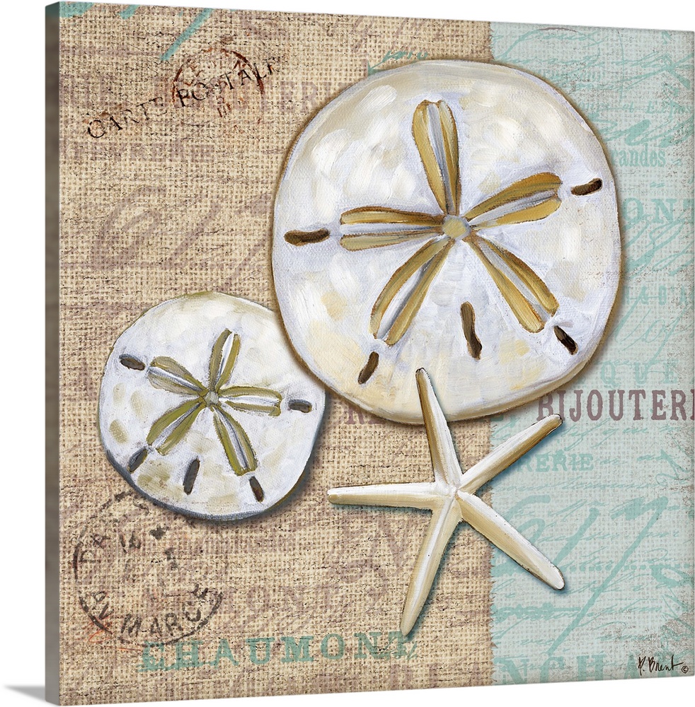 Decorative artwork of a pair of sand dollars and a starfish on a fabric-textured background with faded vintage text.