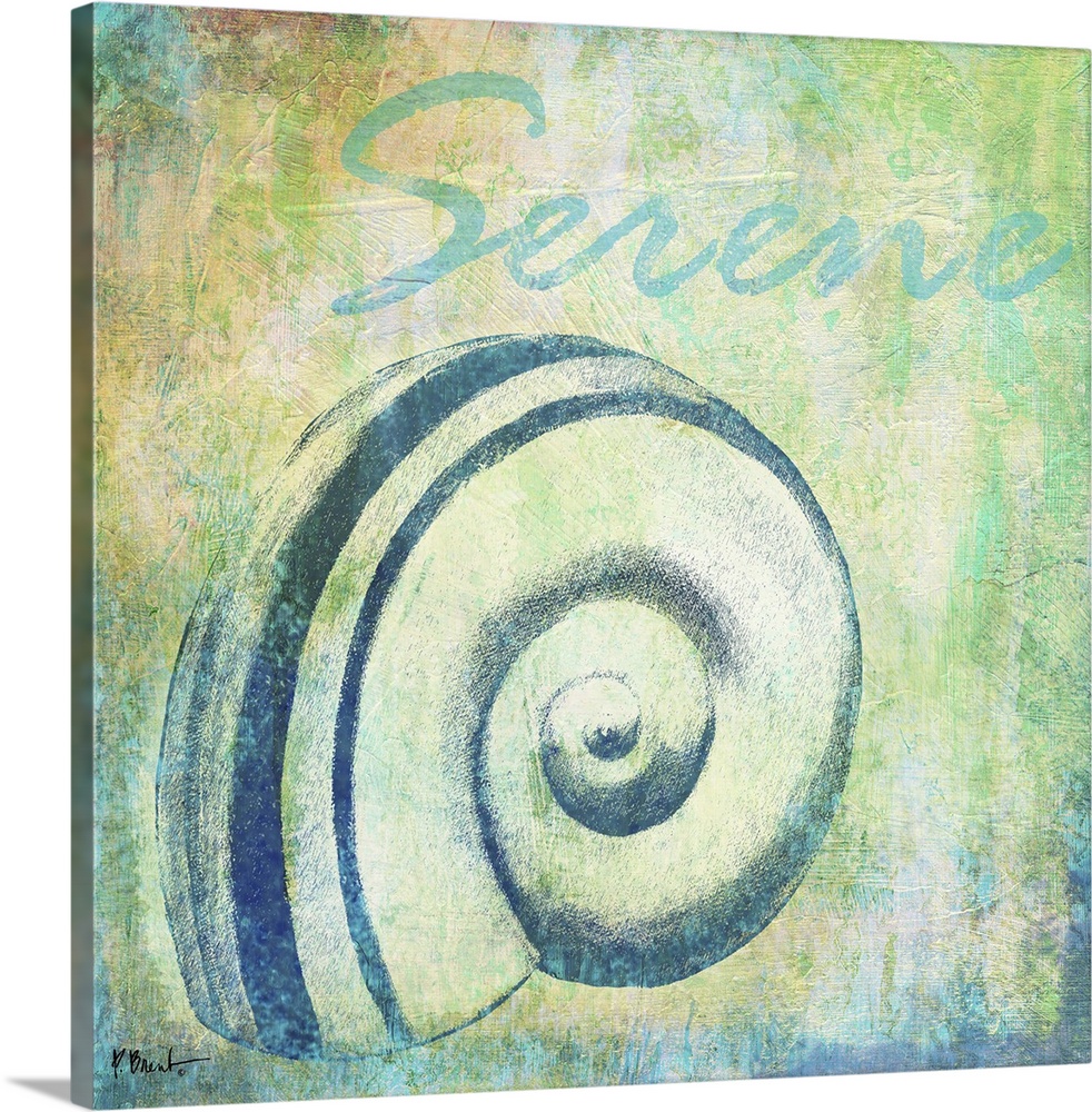 Cool-toned artwork with a shell print on a textured background and the text Serene.