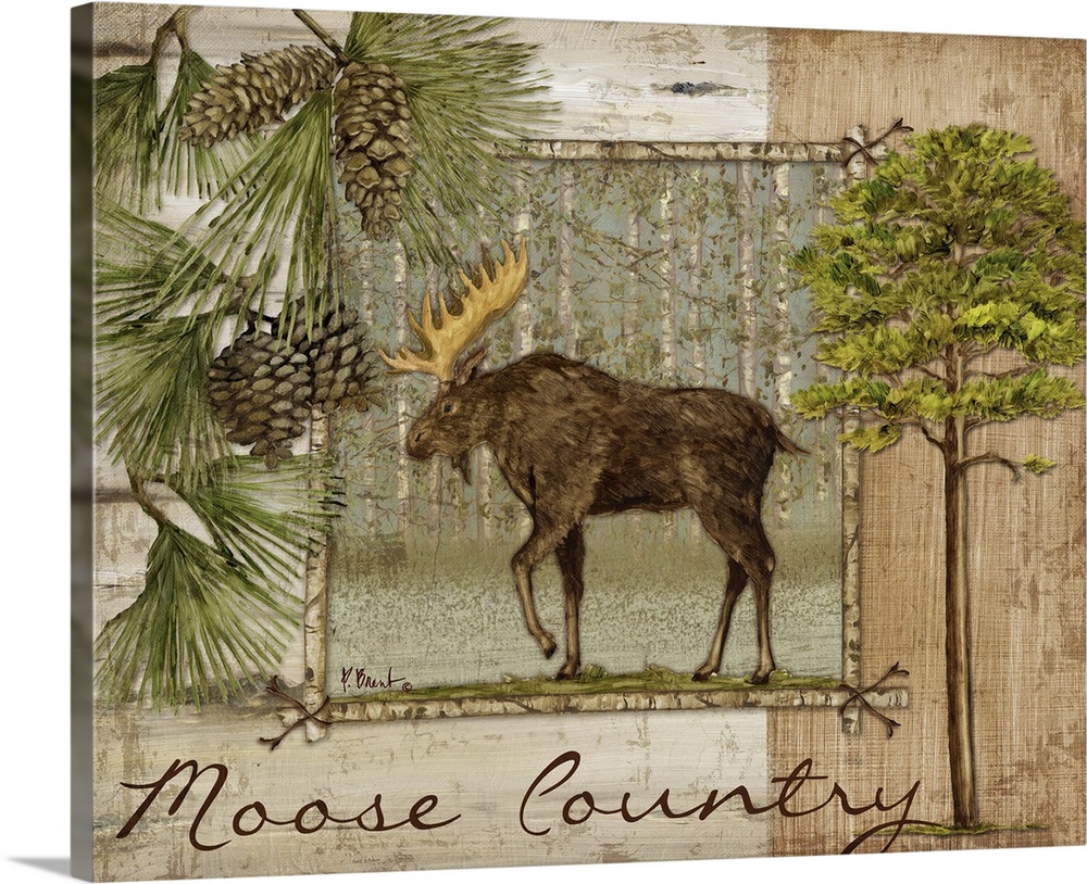 Decorative artwork of a moose in a frame, with pine needles and pinecones, trees, and the words Moose Country.