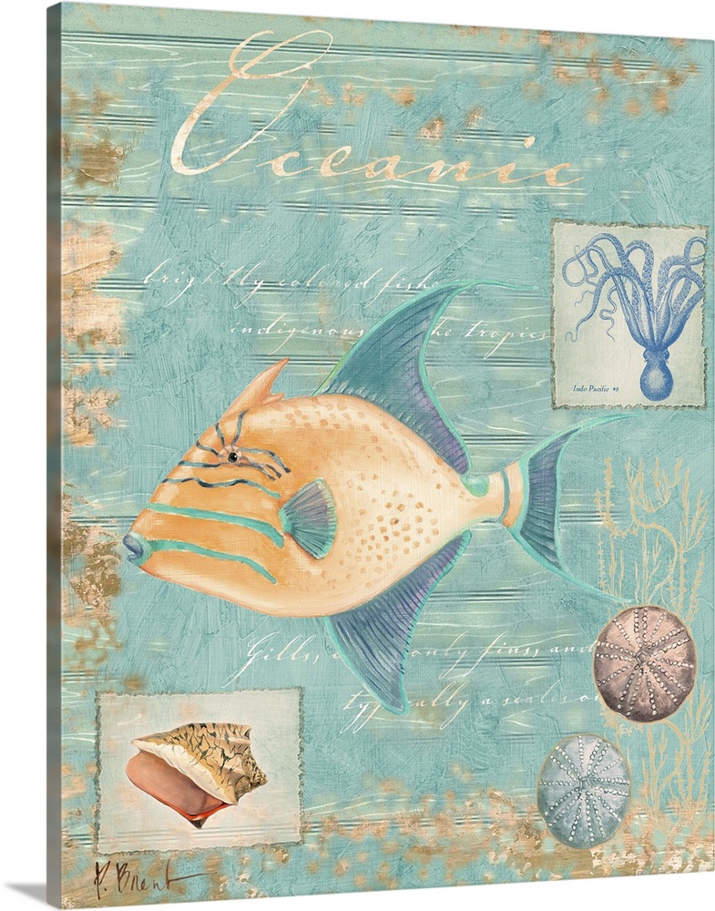 Collage of a trigger fish and other marine elements, including shells and an octopus.