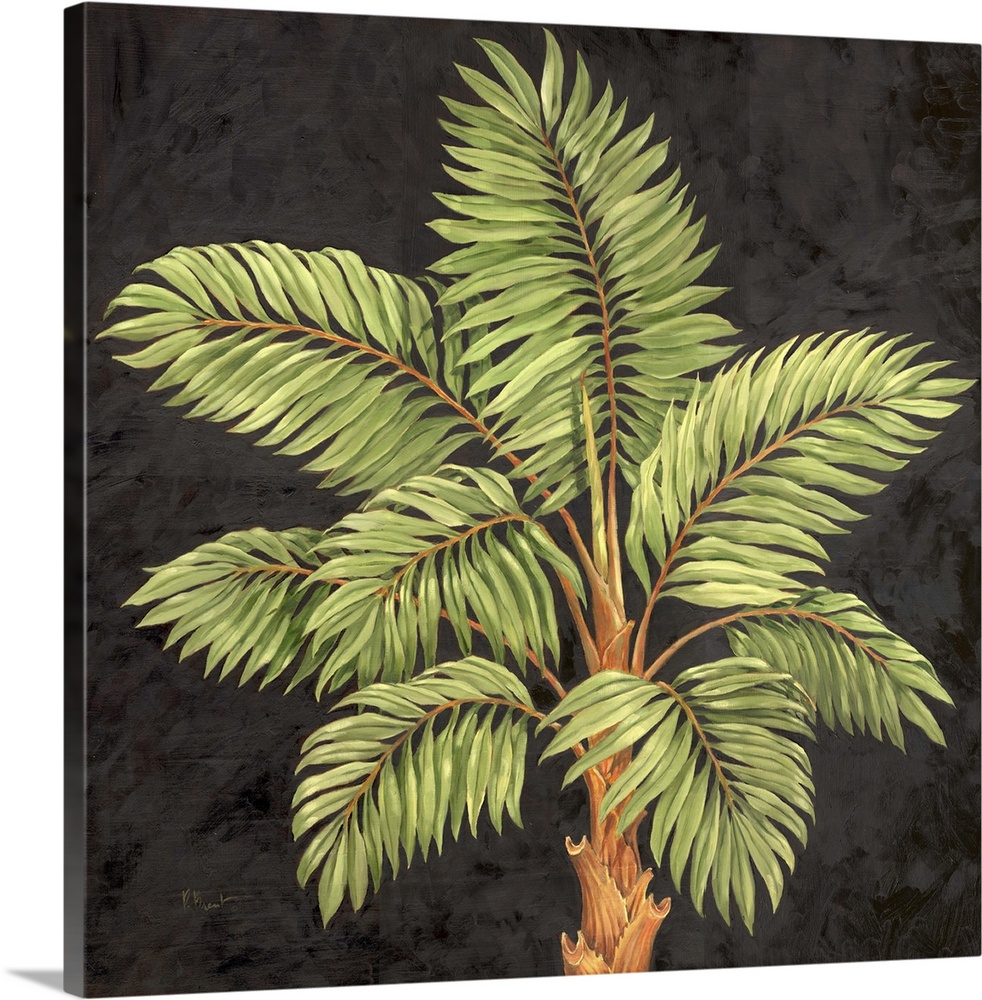 Painting of the top of a palm tree with leafy fronds.