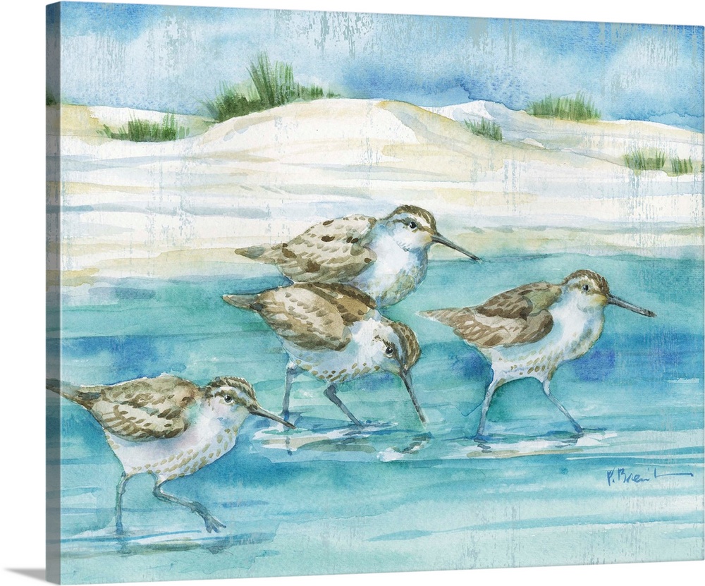 Sandy Sandpipers I