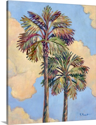 Santa Rosa Palm II
