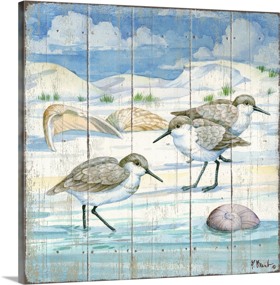 Square painting of sandpipers on the shore with shells all around them and dunes in the background.
