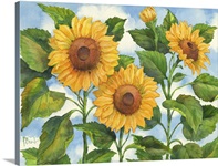 Sunflower Wall Art & Canvas Prints | Sunflower Panoramic Photos ...