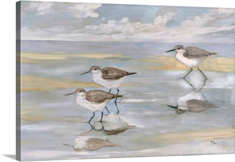 Sunlight Reflections - Three Sandpipers