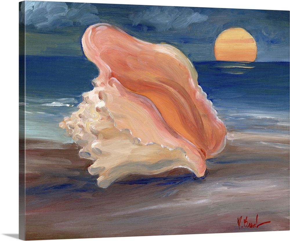 Sunset Conch
