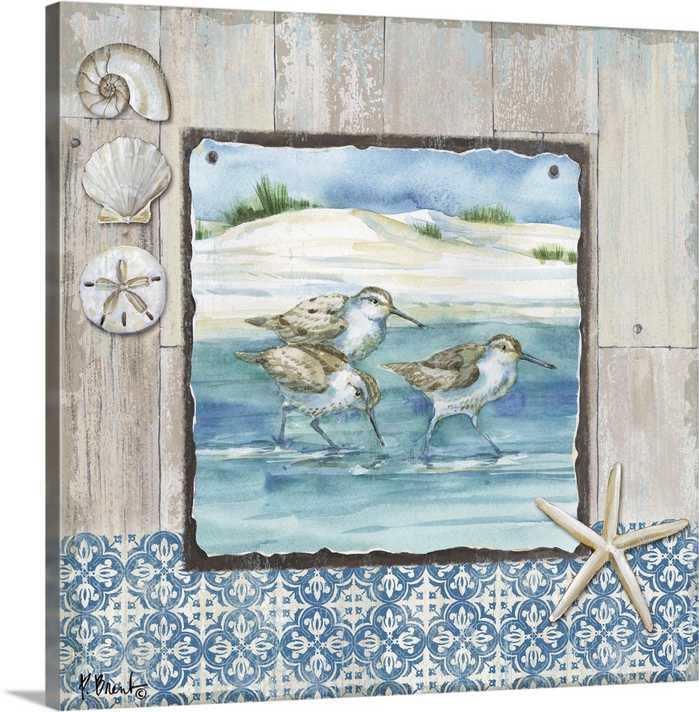 Square beach decor with sandpipers and seashells in blue and brown tones.