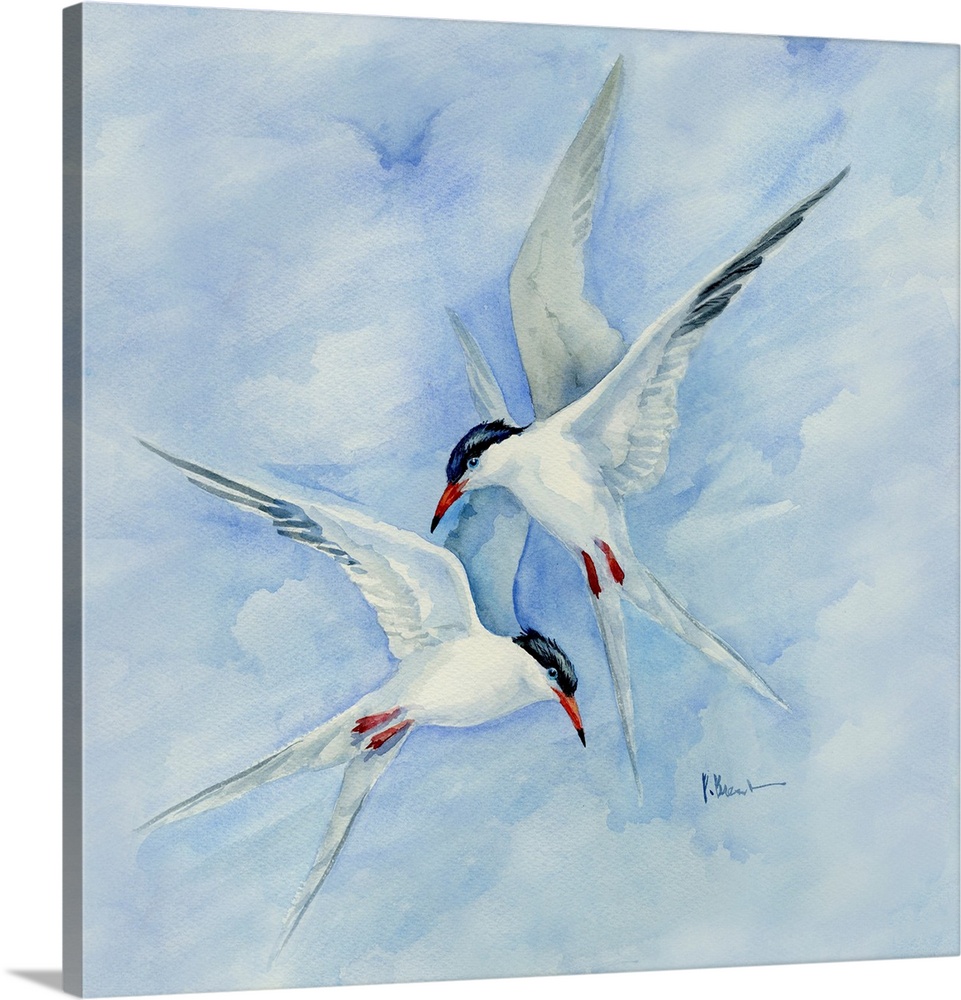 Terns In Flight