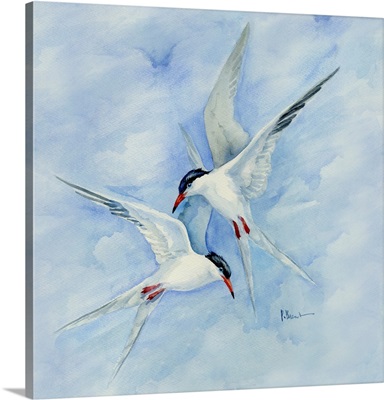 Terns In Flight