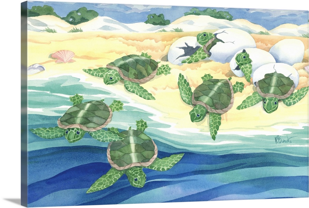 Watercolor painting of a group of sea turtle hatchlings crawling into the ocean.