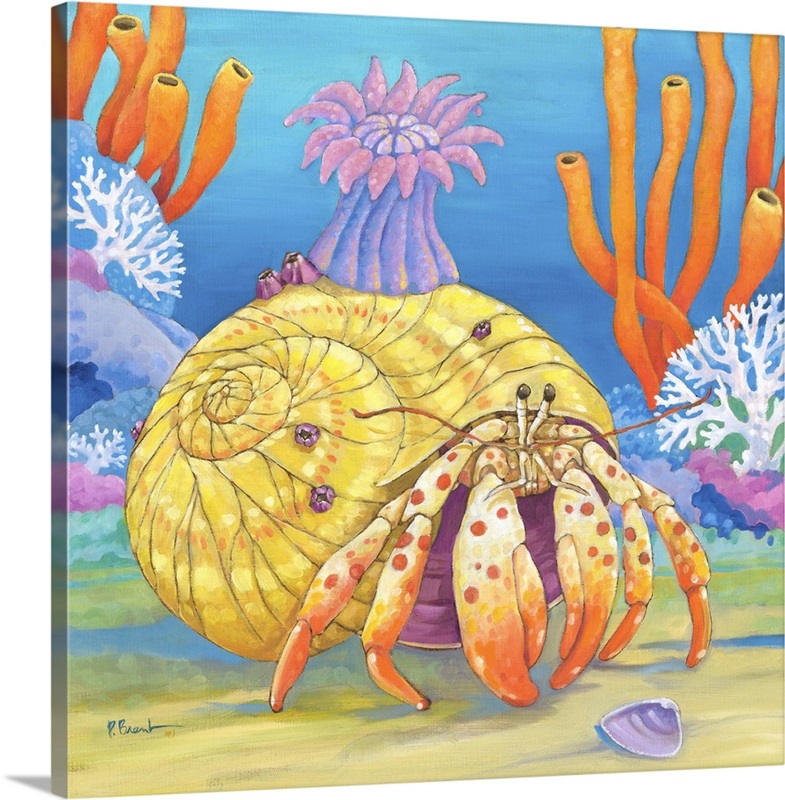 Unprocessed Raw Hermit Crab Small Sea Sponges Natural Painting -  in  2023