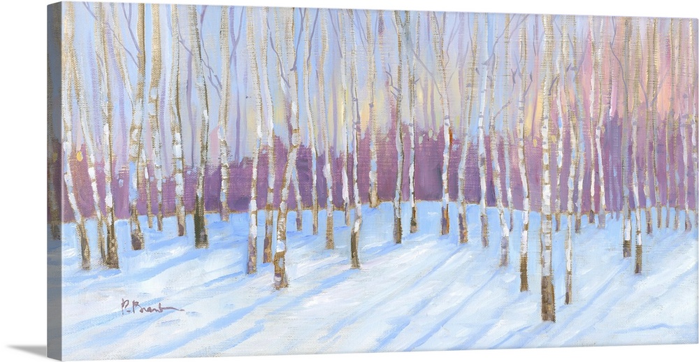 Winter White Birch Grove