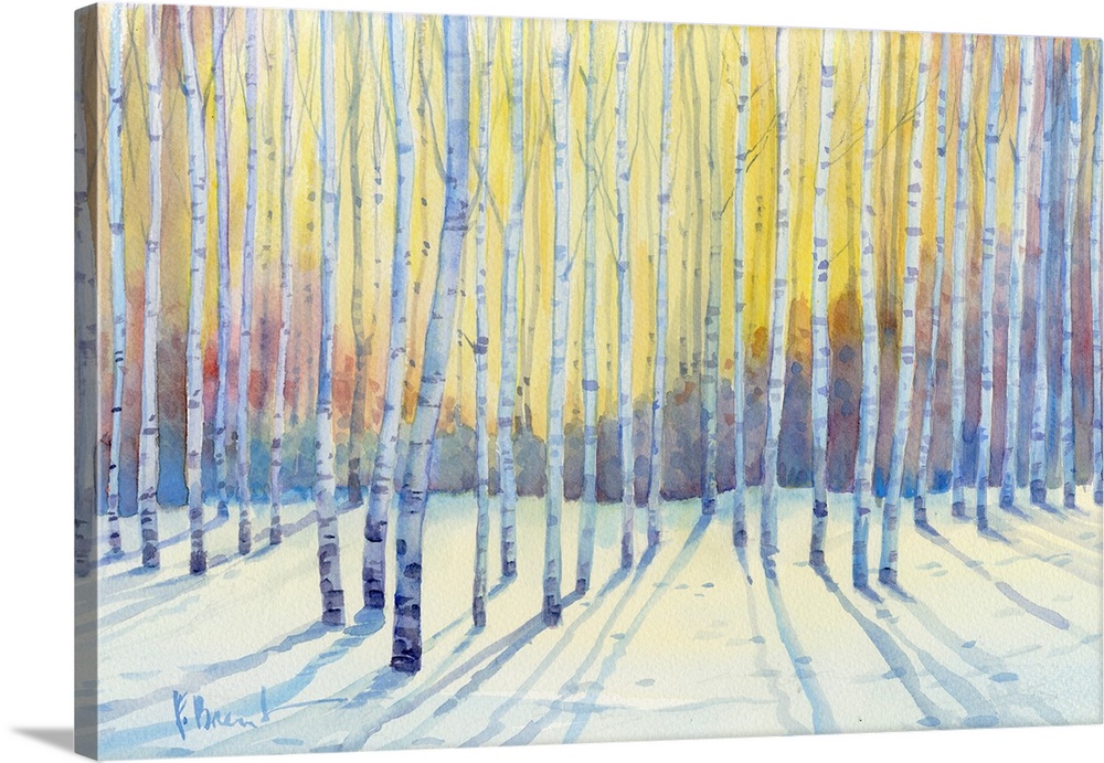 Winter White Birch Grove