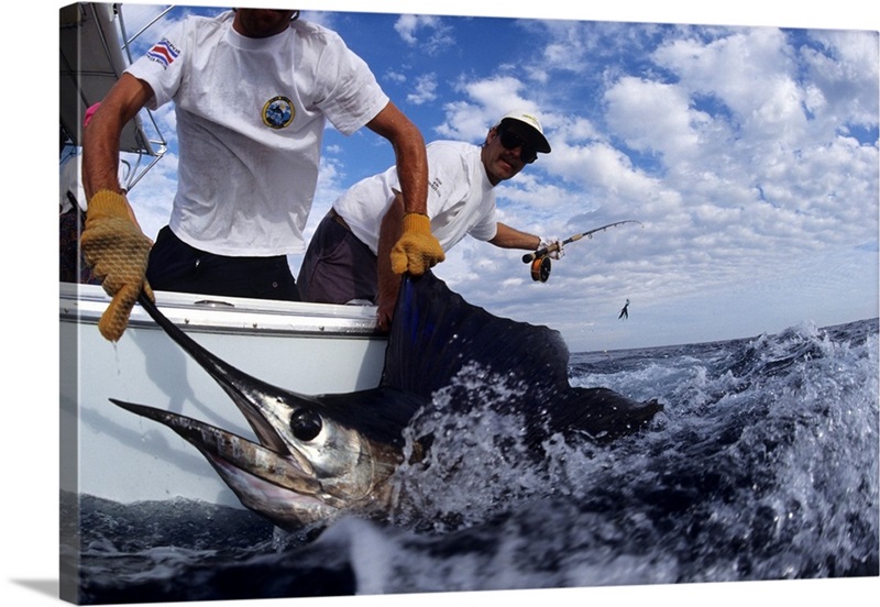 Deep sea fisherman catching a swordfish Great Big Canvas