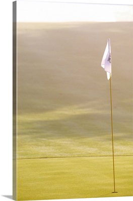 Flag on green of golf course