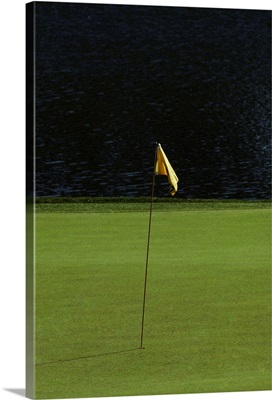 Golf flag on the green