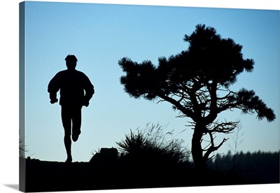 Silhouette of runner and tree