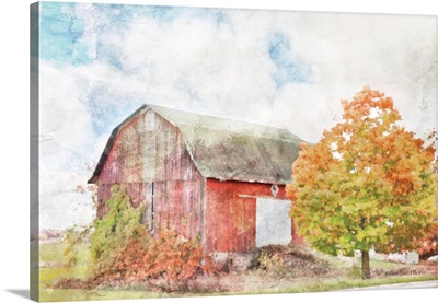 Autumn Maple by the Barn