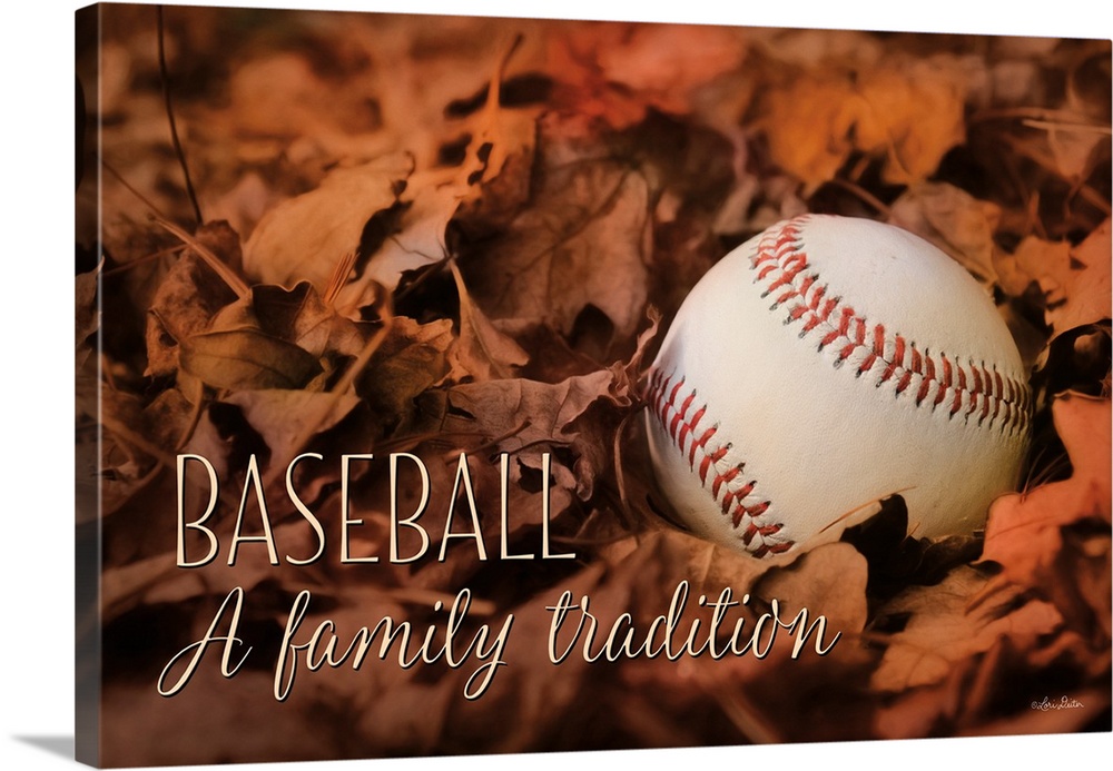 Image of a baseball resting on fallen fall leaves.