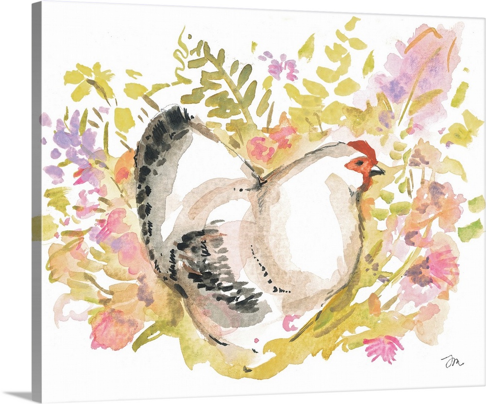 Beatrice The Brahma Chicken