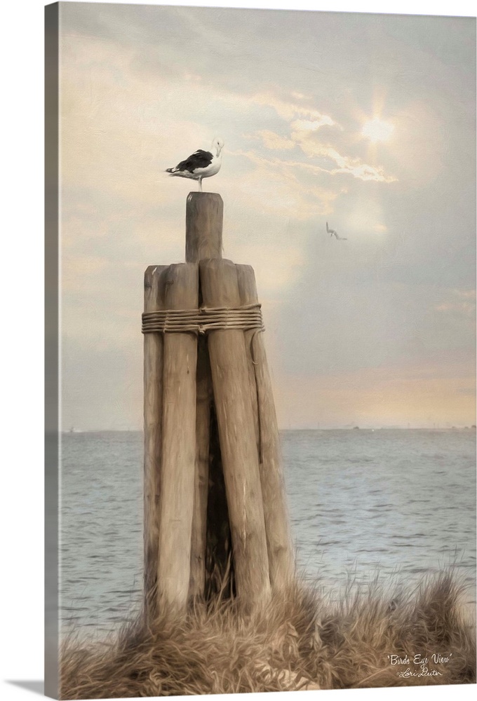 A sea gull perched on wooden posts overlooking the ocean.
