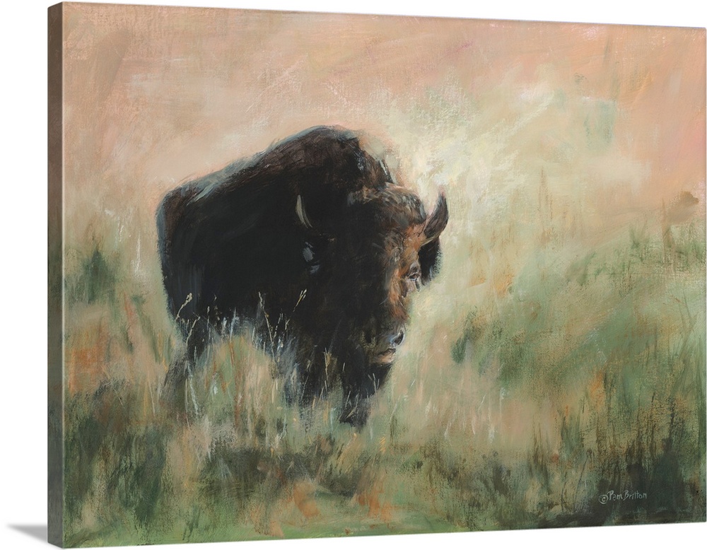 Bison In The Mist