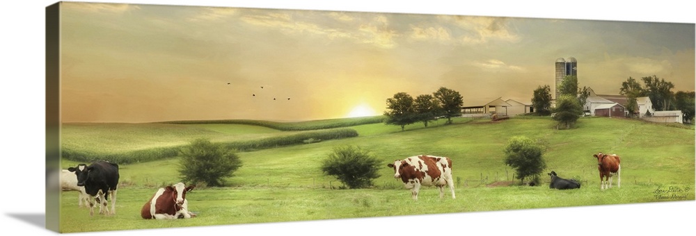 Photograph of a farm landscape featuring cows and the sun rising in the background.