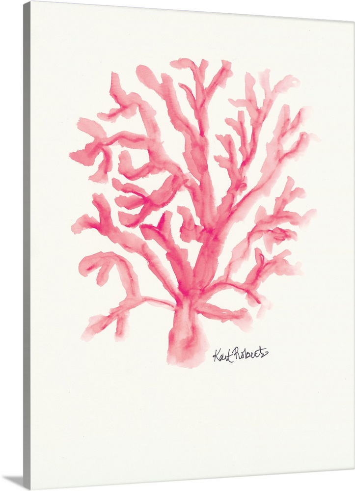 C is for Coral