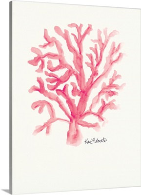 C is for Coral