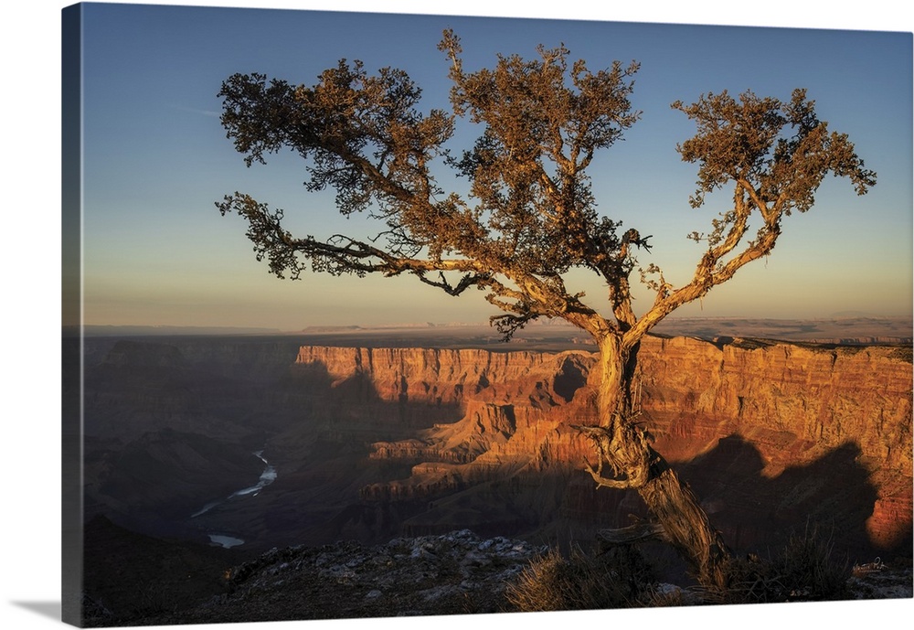 Check out my website if you are interested to learn my workflow: https://www.martinpodt.com/Workflow 

See my website for ...