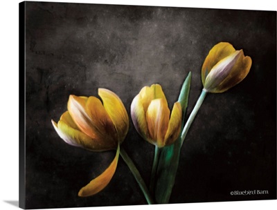 Contemporary Floral Tulips